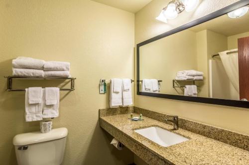 魔鬼湖Cobblestone Hotel & Suites - Devils Lake的一间带卫生间、水槽和镜子的浴室