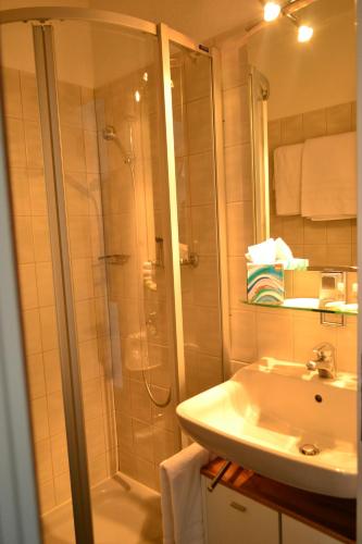 莱斯布里内特Hotel Les Rives Du Doubs的带淋浴和盥洗盆的浴室