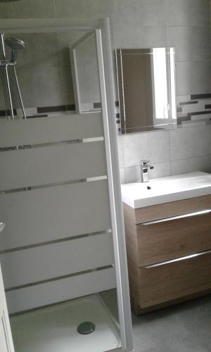 Aunay-sur-OdonLe Lutice的一间带水槽和镜子的浴室