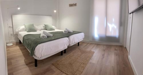 特鲁埃尔TeruelHOME I Con Encanto y parking的一间卧室配有一张带绿毯的大床