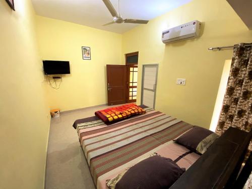 Surajpur JikklaTOURIST LODGE的一间卧室,卧室内配有一张大床