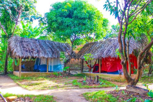 圣若热岛Coruja EcoGlamping的几栋带茅草屋顶和树木的房屋