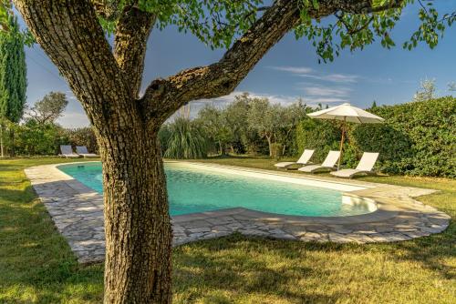 瓦尔的圣卡西亚诺Villa Casavecchia的一座带椅子和遮阳伞的游泳池,毗邻一棵树