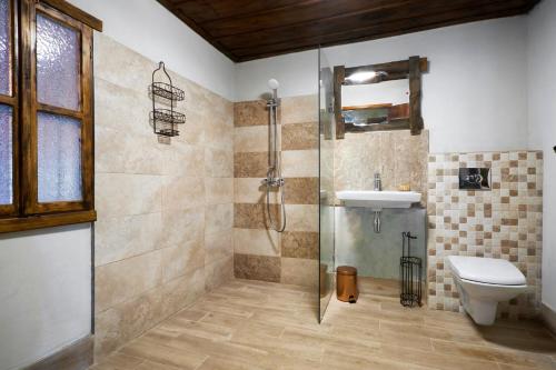 埃伦娜Boutique guest house "SamiKan"的带淋浴、卫生间和盥洗盆的浴室