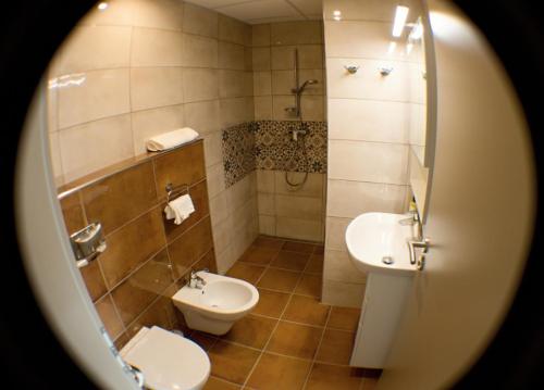 捷克克鲁姆洛夫Element的一间带卫生间和水槽的浴室