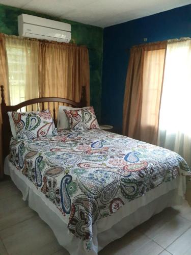 金斯敦GranAnn's Place的一间卧室配有一张带五颜六色棉被的床