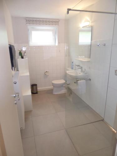 毛尔布龙Apartment in Maulbronn的白色的浴室设有卫生间和水槽。
