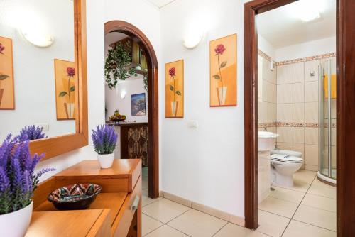 洛斯克里斯蒂亚诺斯Great 'San Marino' Terrace and Pool的一间带卫生间和镜子的浴室