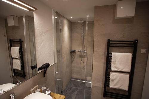 萨菲登安斯泰内嫩米尔Apartment Vera的带淋浴和盥洗盆的浴室