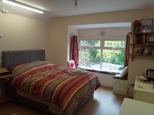 格兰瑟姆Spacious King Bedroom in Grantham Lincolnshire的一间卧室设有一张床和一个窗口