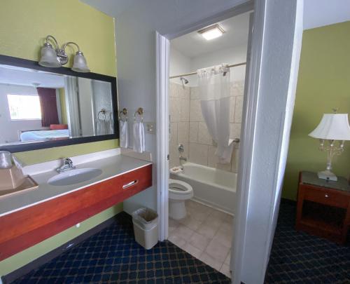 Royal Inn Richmond Hill- Savannah I-95的一间浴室