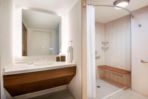 赫恩登杜勒斯凯悦酒店的一间带水槽和镜子的浴室