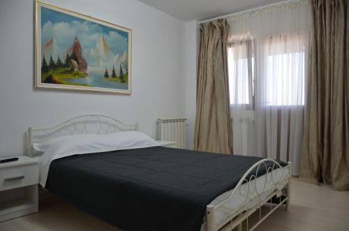 图尔恰Apartament bell confort的卧室配有一张床,墙上挂有绘画作品