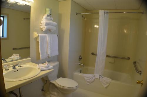 威斯康星戴尔Amber's Inn and Suites的浴室配有卫生间、盥洗盆和淋浴。