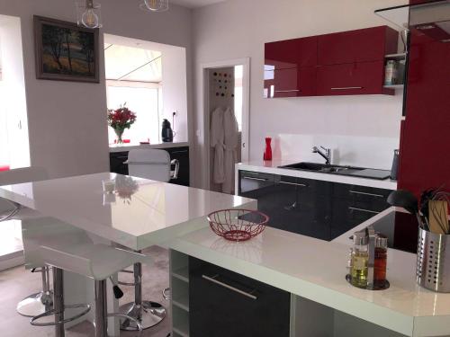普尔维叙尔梅尔Le Tableau的厨房配有白色的柜台和红色的橱柜