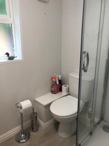 StocksfieldMole Cottage的白色的浴室设有卫生间和淋浴。
