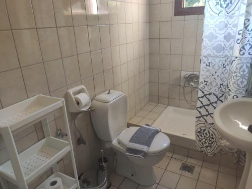 塞沃塔sivotahomes-country的浴室配有卫生间、盥洗盆和淋浴。