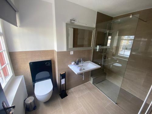 温特图尔Hotel Boutique Taverne zum Kreuz的浴室配有卫生间、盥洗盆和淋浴。