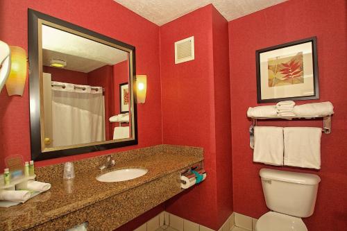 奥格登奥格登智选假日酒店的红色的浴室设有水槽和卫生间