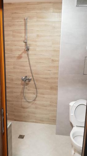 蒙塔纳Lux apartment的带淋浴和卫生间的浴室