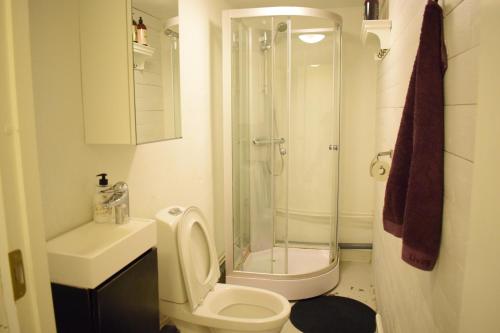 基律纳Apartment with shared bathroom in central Kiruna 1的带淋浴、卫生间和盥洗盆的浴室