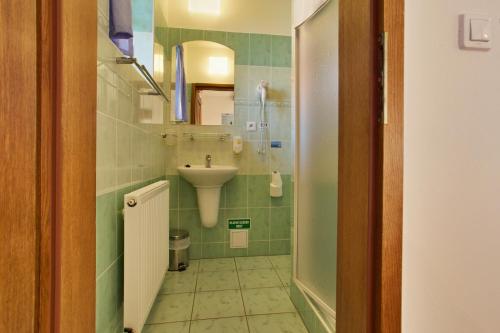 Bukovany布科万斯基米林酒店的一间带水槽和镜子的小浴室