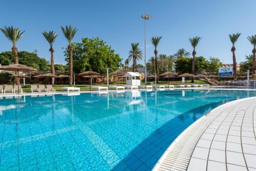 埃拉特U Splash Resort Eilat的一座棕榈树和遮阳伞的大型游泳池