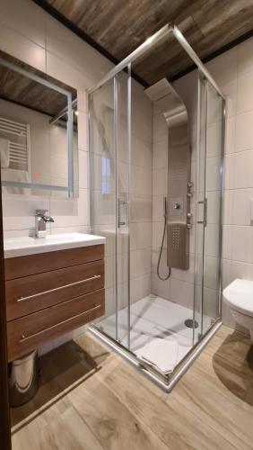 贡岑豪森瑞特尔豪夫-奥特姆尔斯酒店的一间带玻璃淋浴和水槽的浴室