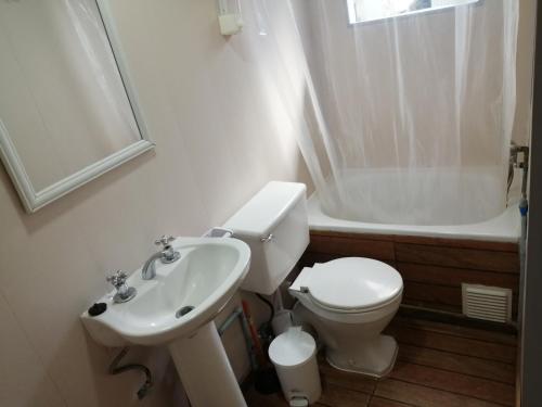 瓦尔迪维亚Cabañas Arlenne的白色的浴室设有卫生间和水槽。