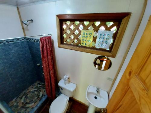 托尔图格罗Cabinas Tortuguero的浴室配有卫生间、淋浴和盥洗盆。