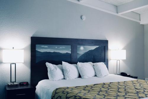 库克维尔高山小屋及套房酒店的酒店客房设有一张大床和两盏灯