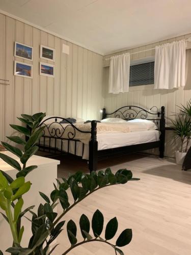 特隆赫姆Private house-terrace-garden -parking-WiFi-smartTV的一间卧室设有两张床和盆栽植物
