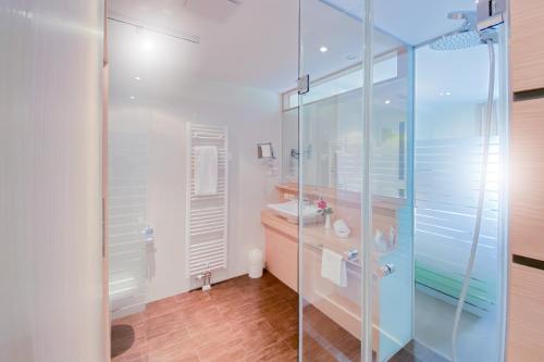 皮尔纳aktiv Sporthotel Sächsische Schweiz的一间带玻璃淋浴和水槽的浴室