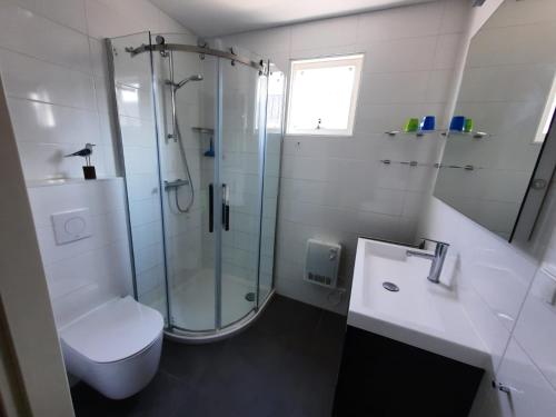 霍勒姆Kaapshoff 32的带淋浴、卫生间和盥洗盆的浴室