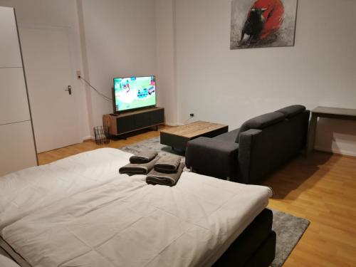 布伦瑞克Stay Inn Braunschweig的客房设有床、沙发和电视。