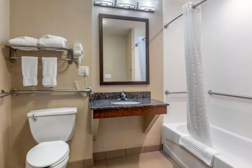 马里恩Comfort Suites的一间带卫生间、水槽和镜子的浴室