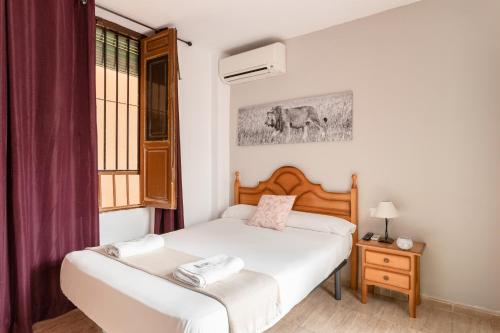 格拉纳达扎卡提尼旅馆的一间小卧室,配有床和窗户