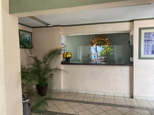 萨卡特卡斯Hotel Zacatecas Courts的走廊上设有镜子和盆栽