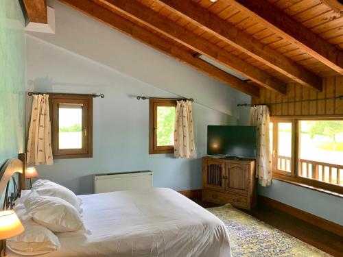 欧阿提兹乌萨太吉塔酒店的一间卧室设有一张床、一台电视和窗户。