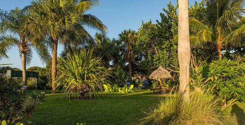 维洛海滩南滩广场-维洛海滩的一个带棕榈树和桌椅的庭院