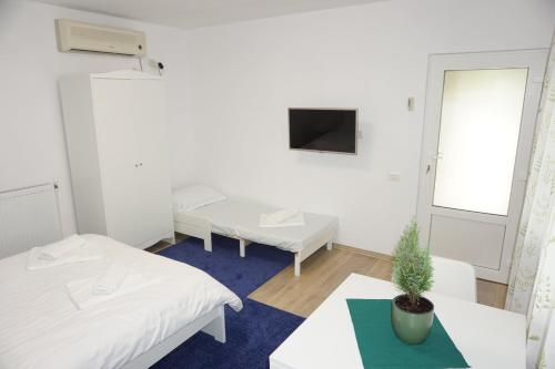 巴洛泰什蒂Casuta Bradulet - Aeroport Otopeni & Therme的客房设有两张床、一张桌子和一台电视机。