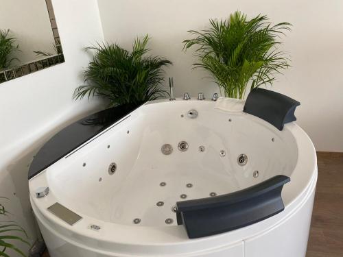 布拉迪斯拉发Die Oase - Luxurious Apartment near the City Center的室内的白色浴缸,植物