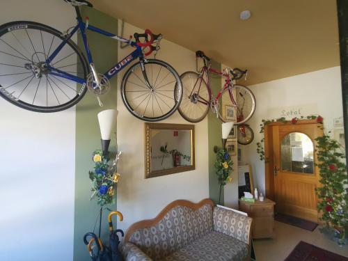 特劳恩罗伊特Hotel Garni Austermayer的两辆自行车挂在客厅的墙上