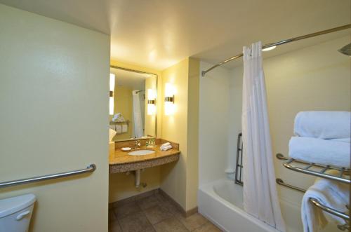 Holiday Inn Titusville/Kennedy Space Center, an IHG Hotel的一间浴室