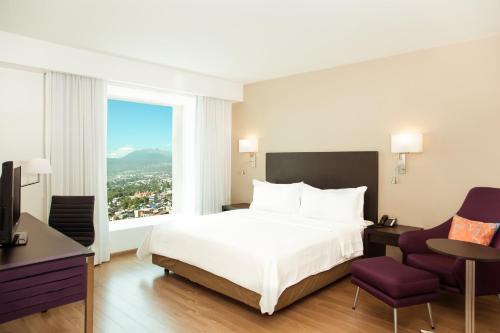 墨西哥城佩里费里克南费斯塔酒店 的相册照片