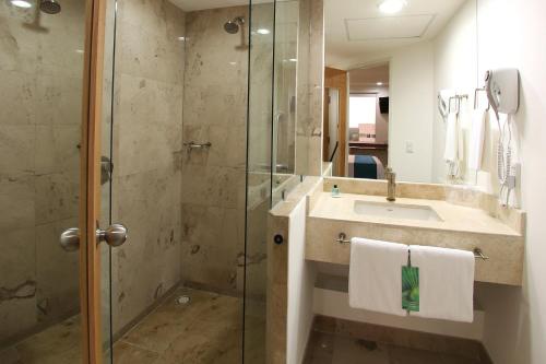 比亚埃尔莫萨One Villahermosa 2000的一间带水槽和玻璃淋浴的浴室
