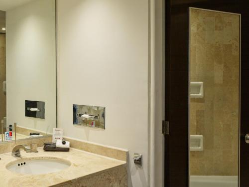 阿瓜斯卡连特斯阿瓜斯卡连特斯嘉年华酒店的一间带水槽和镜子的浴室