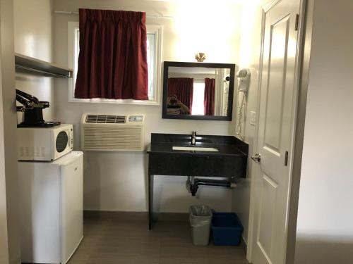 珀斯水瓶座汽车旅馆的一间带水槽和微波炉的小浴室