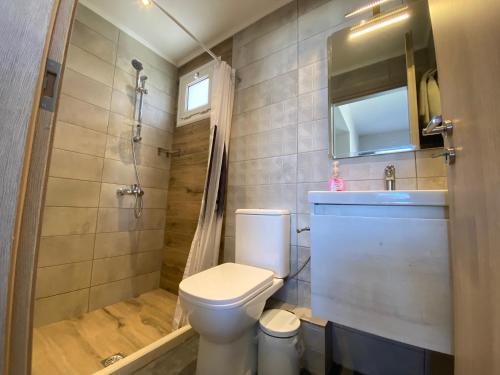 斯达林Thalassa的浴室配有卫生间、淋浴和盥洗盆。