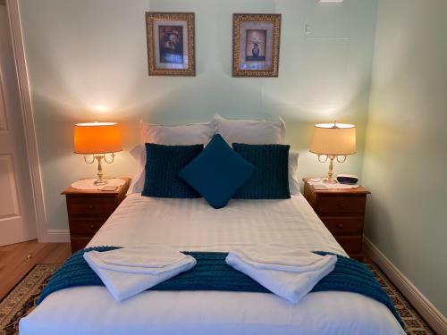 谭伯连山Curtis Falls Studio-Apartment的一间卧室配有一张带蓝色枕头的床和两盏灯。